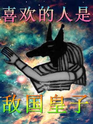 喜欢的人是敌国皇子