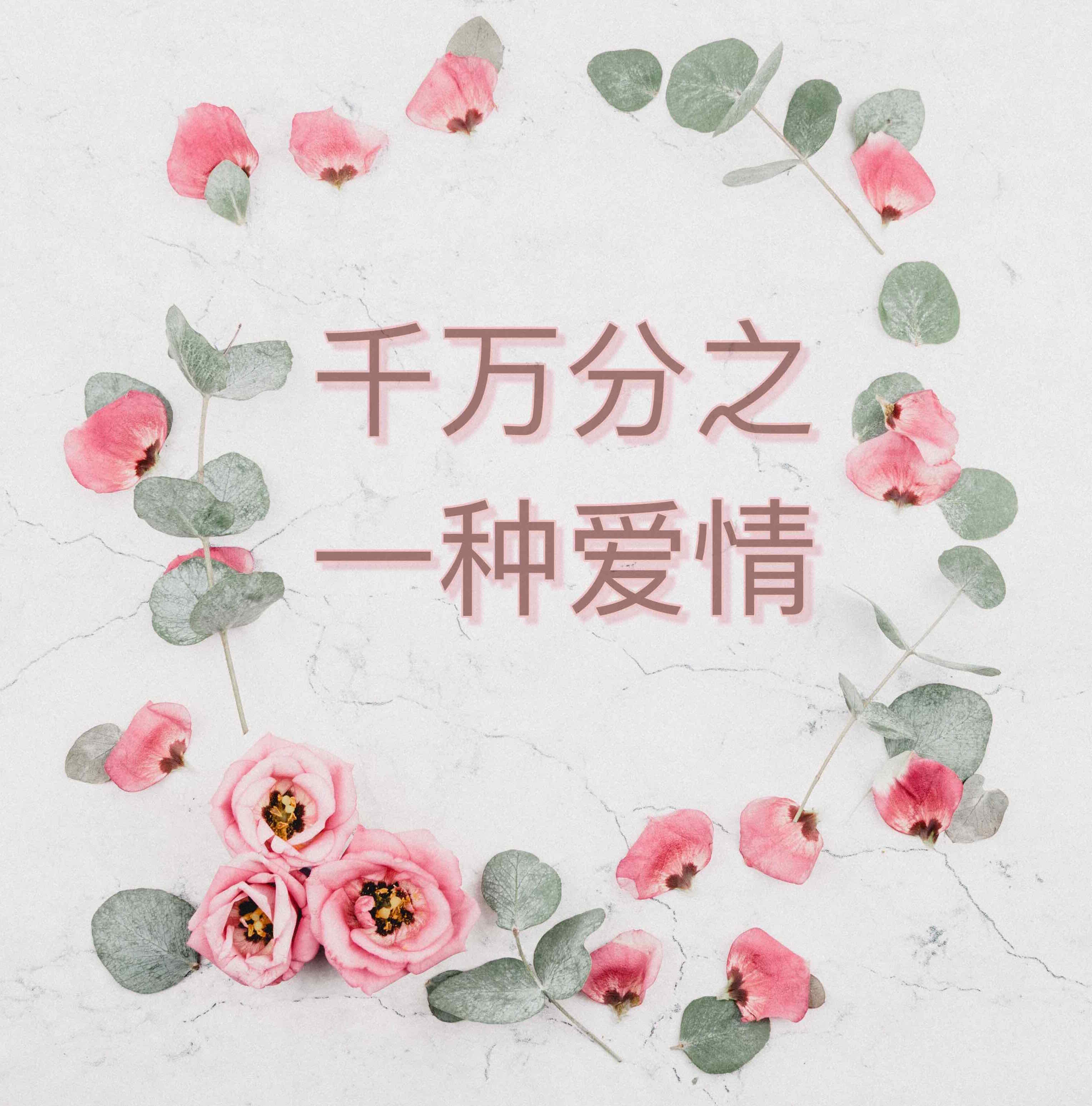 千万分之一种爱情