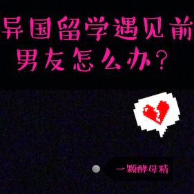 异国留学遇见前男友怎么办？