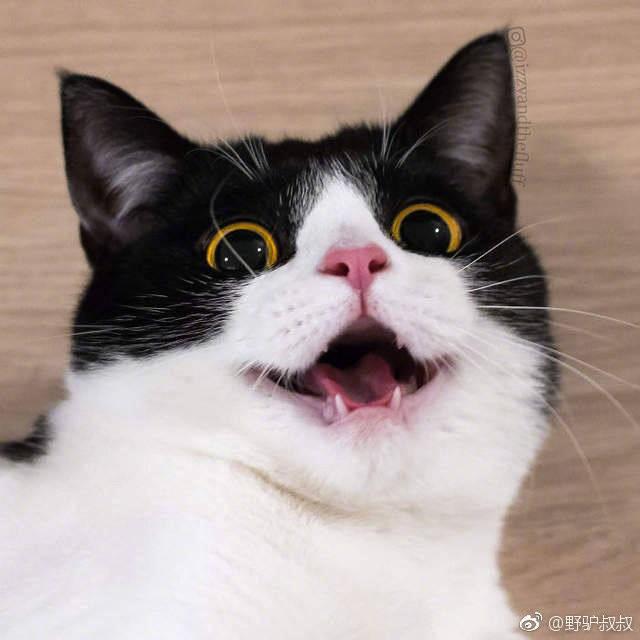 牵线搭桥