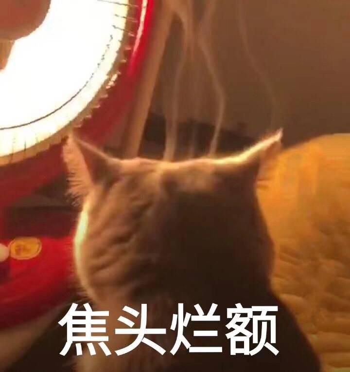 我把舍友当成女朋友给太阳了