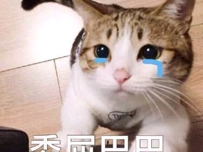 你才爱哭