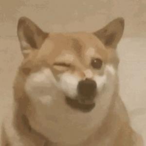 和月梨花瘦